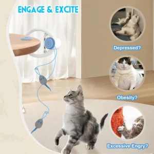 Cat Toys Swing Sticky Disc Elastic Hanging Door Teasing Cat Rope Long Rope Teasing Cat Cat Toy Cat Accessories Pet Kitten Toy