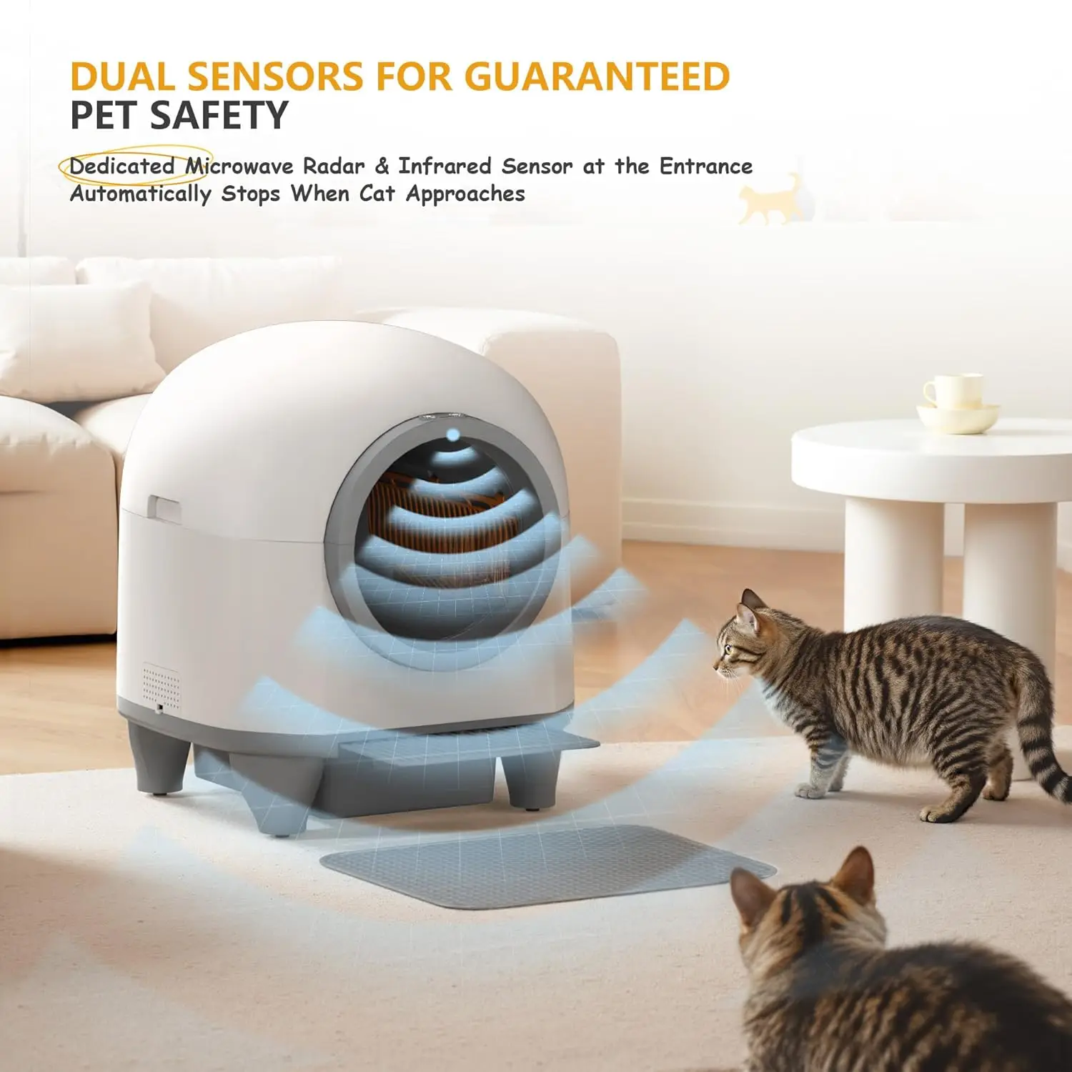 kf-S1b1b35818a84406b8b42703cff07661b0