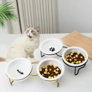 1 Set Elevated Ceramic Cat Bowls 1 Set Non-Slip Ceramic Cat Food And Water Bowls With Iron Bracket, Elevated Tilted Cat Feeder