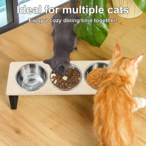 Elevated Cat Bowls Feeder 15° Tilted Raised Feeding & Watering Supplies Pet 3 Stainless Steel Bowls with Stand for Cats Puppies